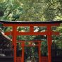 下鴨神社・河合神社 / Shimokamo Kawai Shrine