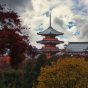 京都美图 / Beautiful Kyoto